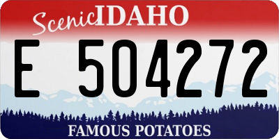 ID license plate E504272