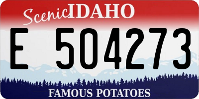 ID license plate E504273