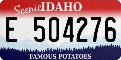 ID license plate E504276