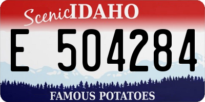 ID license plate E504284