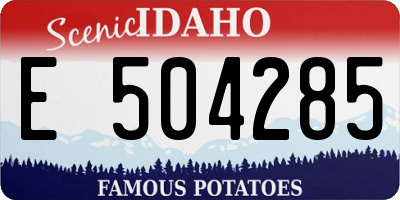 ID license plate E504285