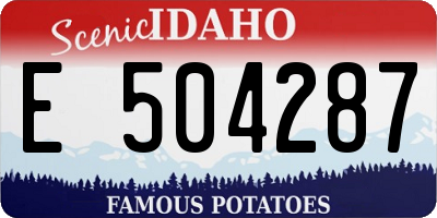 ID license plate E504287