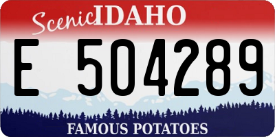 ID license plate E504289