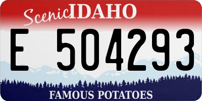 ID license plate E504293