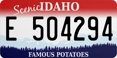 ID license plate E504294