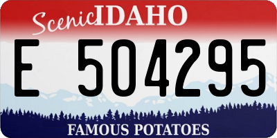 ID license plate E504295