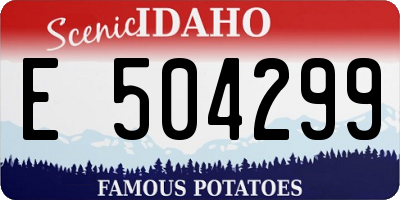 ID license plate E504299