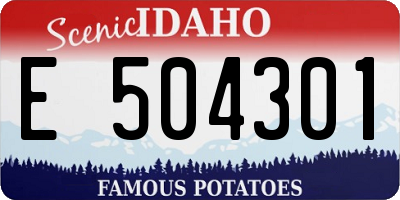 ID license plate E504301