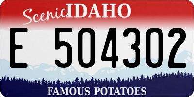 ID license plate E504302