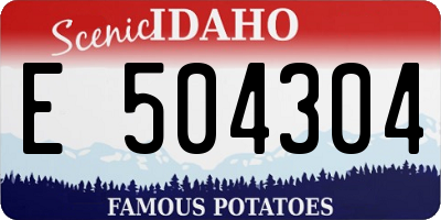 ID license plate E504304