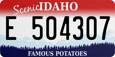 ID license plate E504307