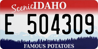 ID license plate E504309