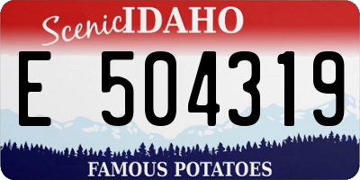 ID license plate E504319