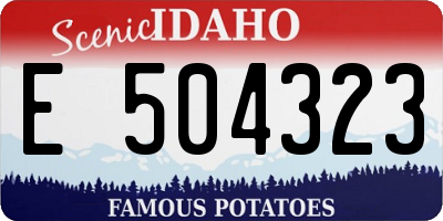 ID license plate E504323
