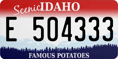 ID license plate E504333