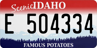 ID license plate E504334