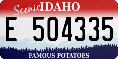 ID license plate E504335