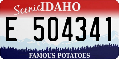 ID license plate E504341