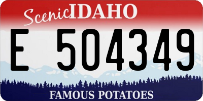 ID license plate E504349