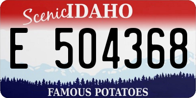 ID license plate E504368