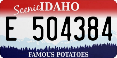 ID license plate E504384