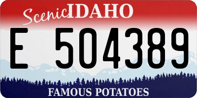 ID license plate E504389