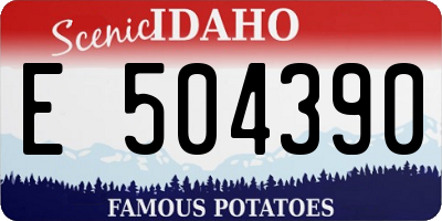 ID license plate E504390