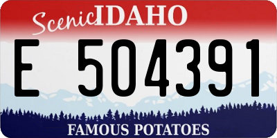 ID license plate E504391
