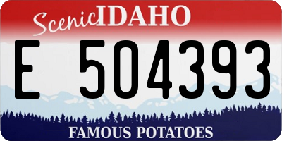 ID license plate E504393