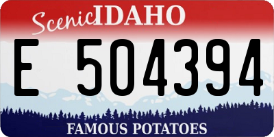 ID license plate E504394