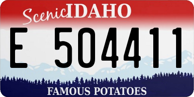 ID license plate E504411