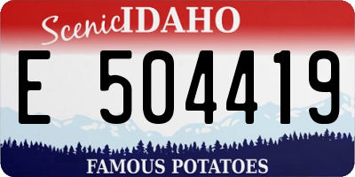 ID license plate E504419