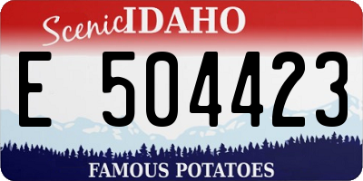 ID license plate E504423