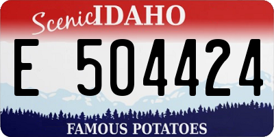 ID license plate E504424