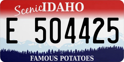 ID license plate E504425
