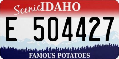 ID license plate E504427