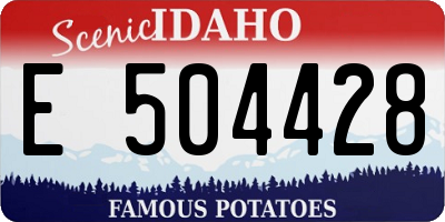 ID license plate E504428