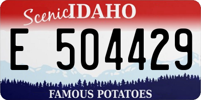 ID license plate E504429