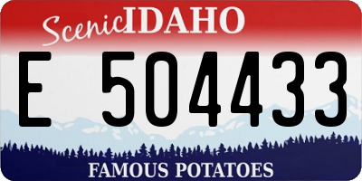 ID license plate E504433