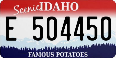 ID license plate E504450