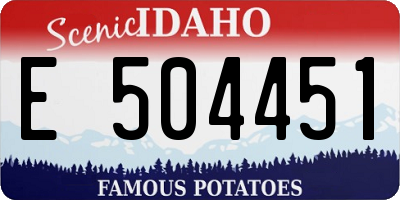 ID license plate E504451
