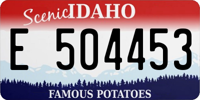 ID license plate E504453