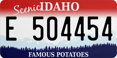 ID license plate E504454