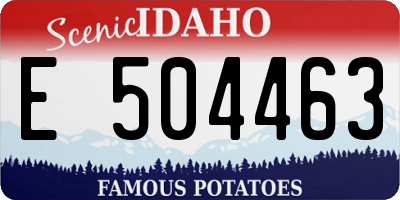 ID license plate E504463