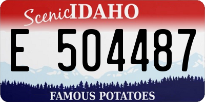 ID license plate E504487