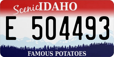 ID license plate E504493