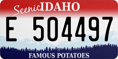 ID license plate E504497