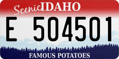ID license plate E504501