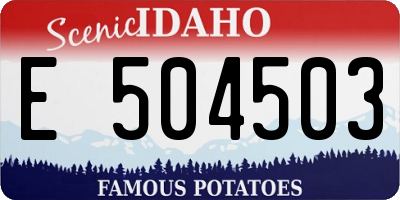 ID license plate E504503