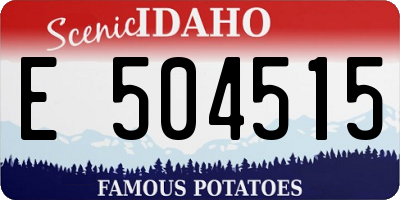 ID license plate E504515
